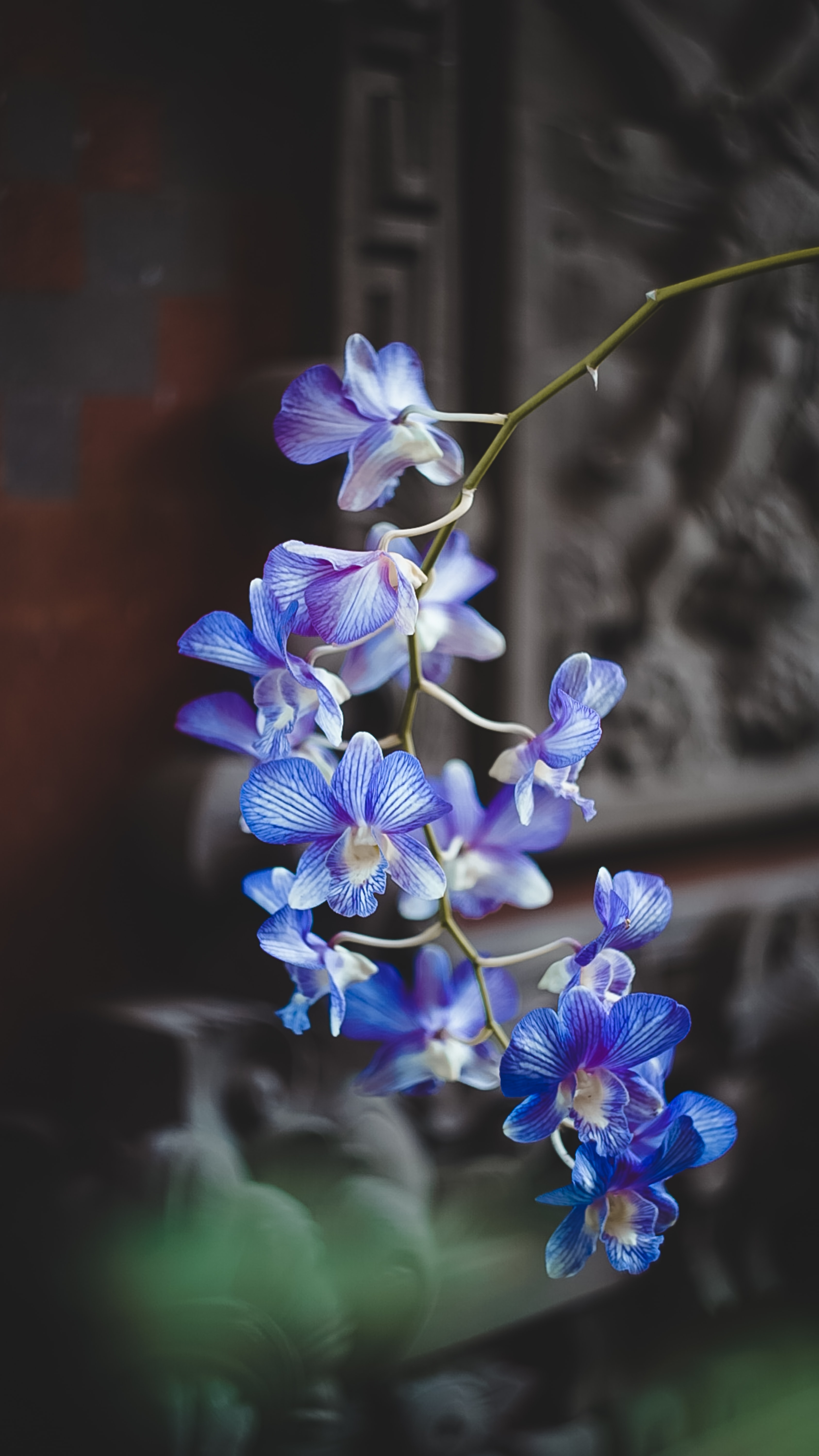 Blumen