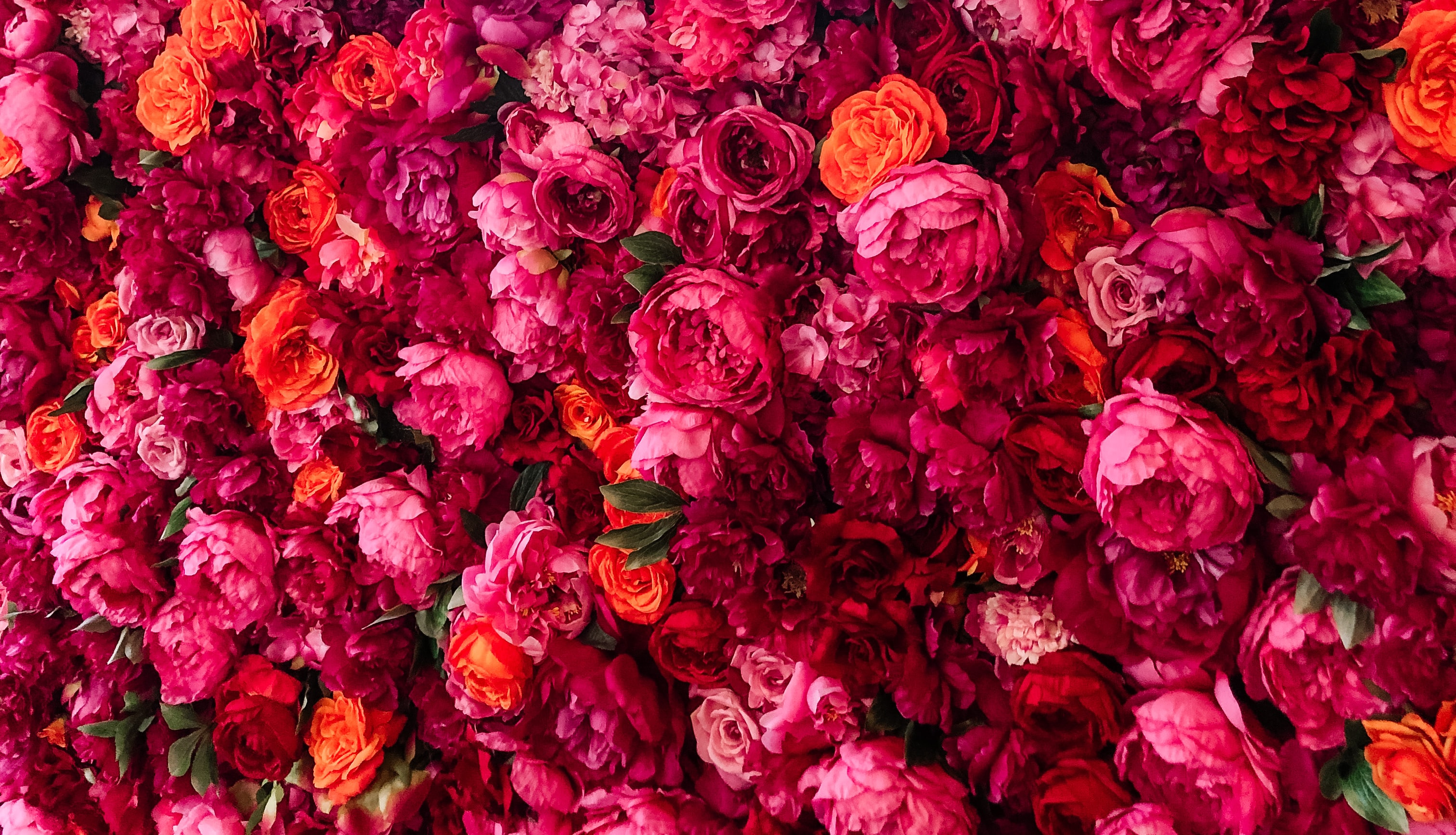 Blumen