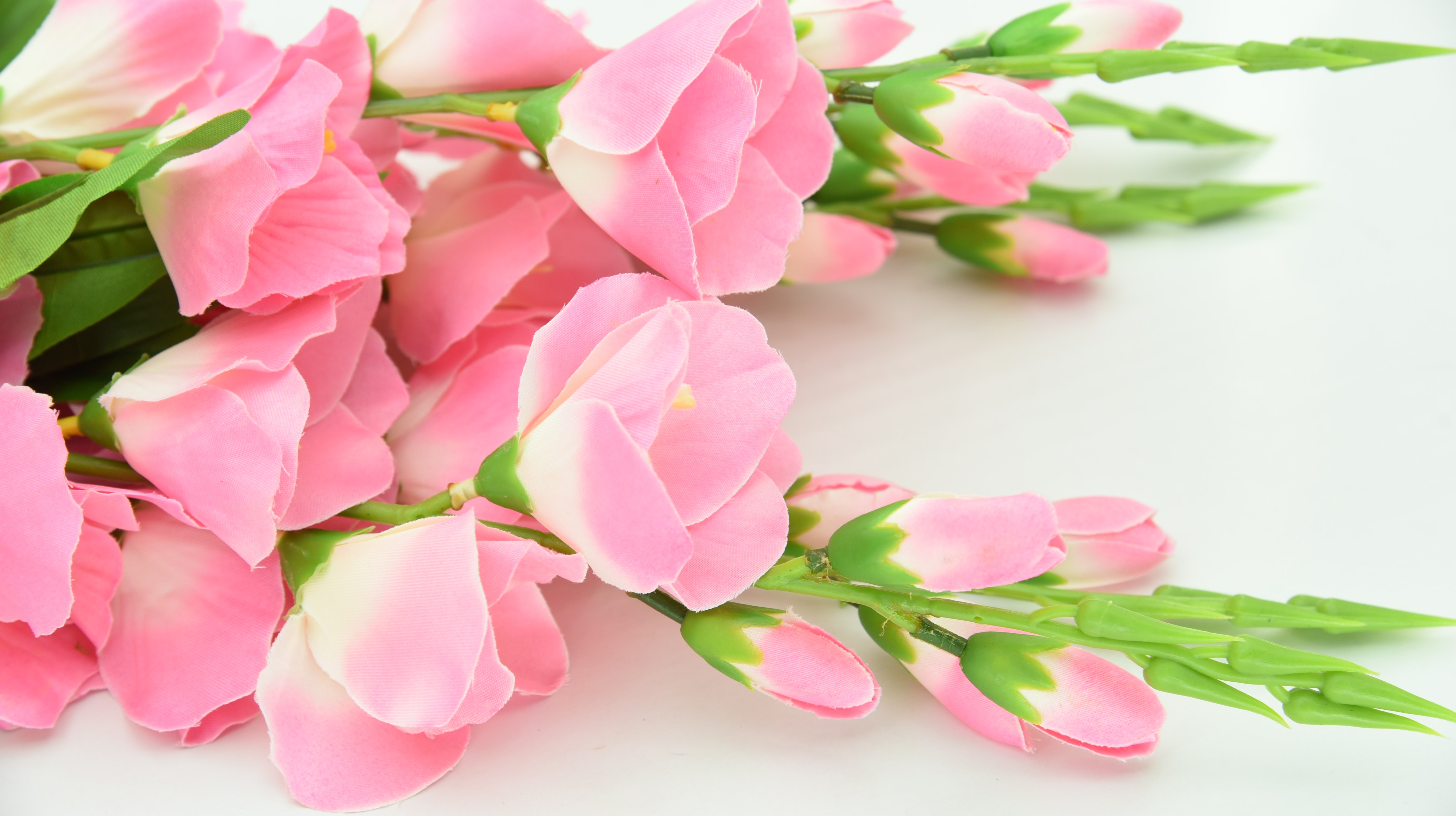 Blumen