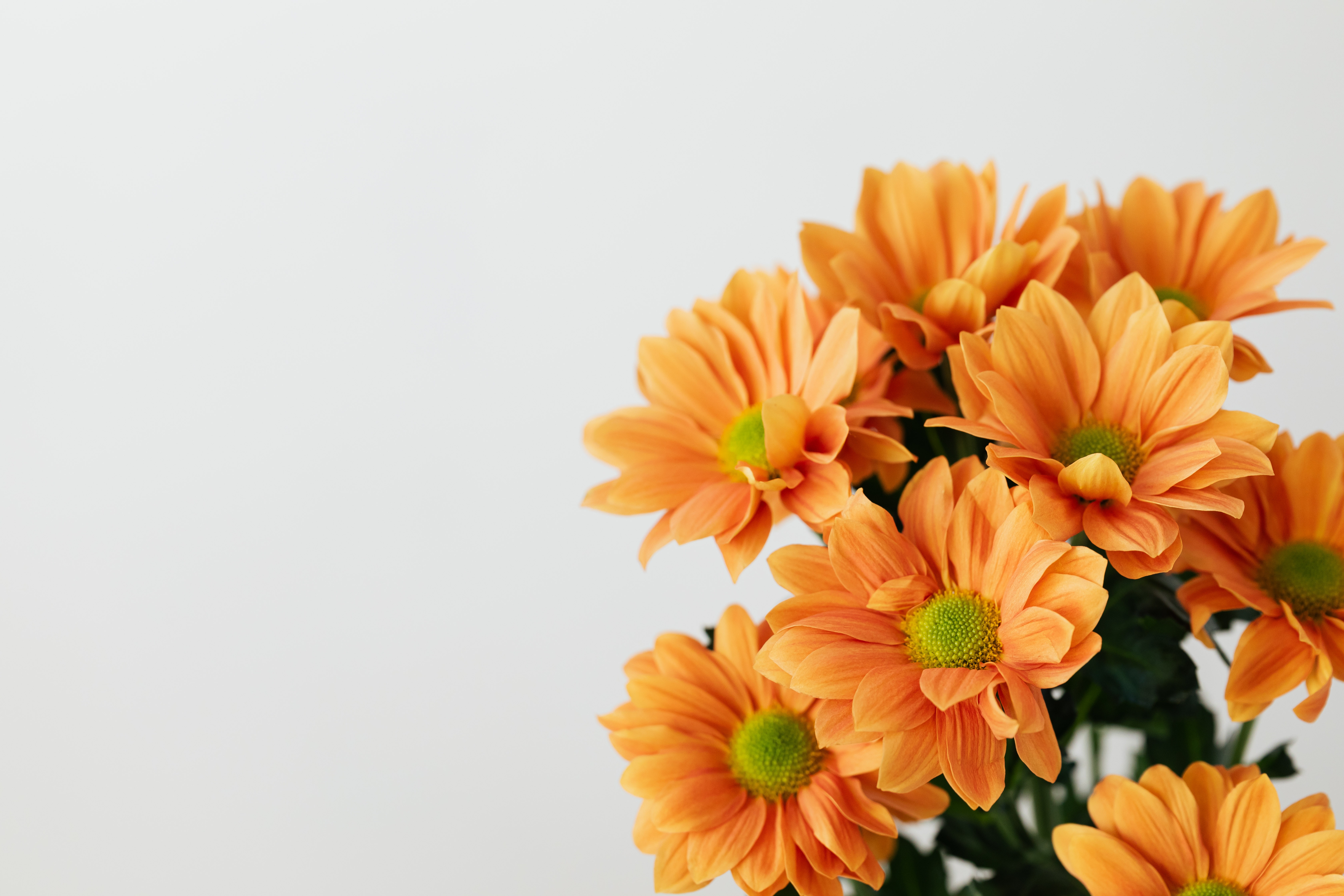 Blumen