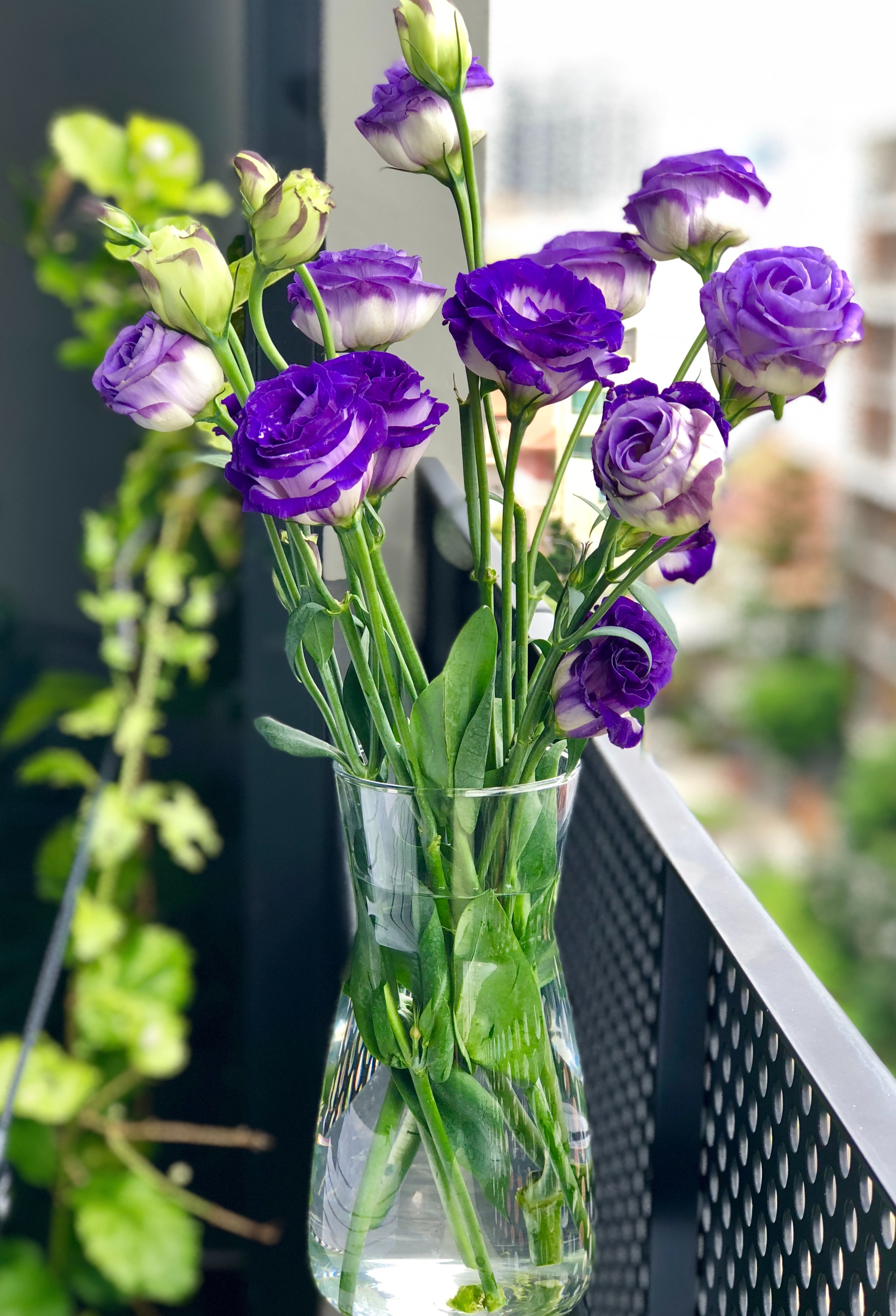 Blumen