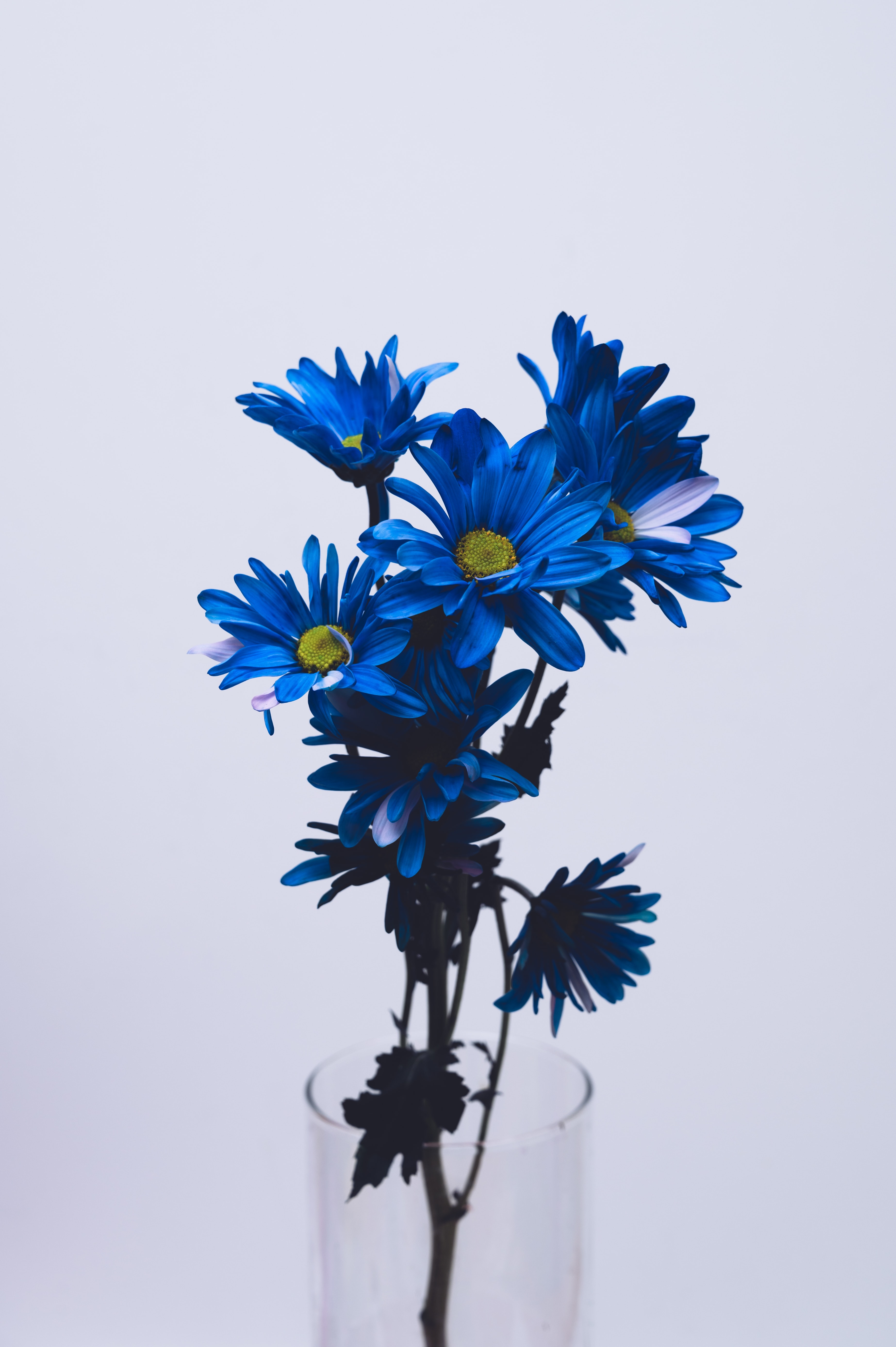Blumen